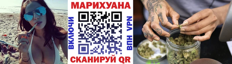 Канабис сатива  наркотики  Светлогорск 